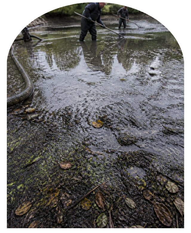 Очистка пруда в Куйбышеве от ила мусора и водорослей с вывозом